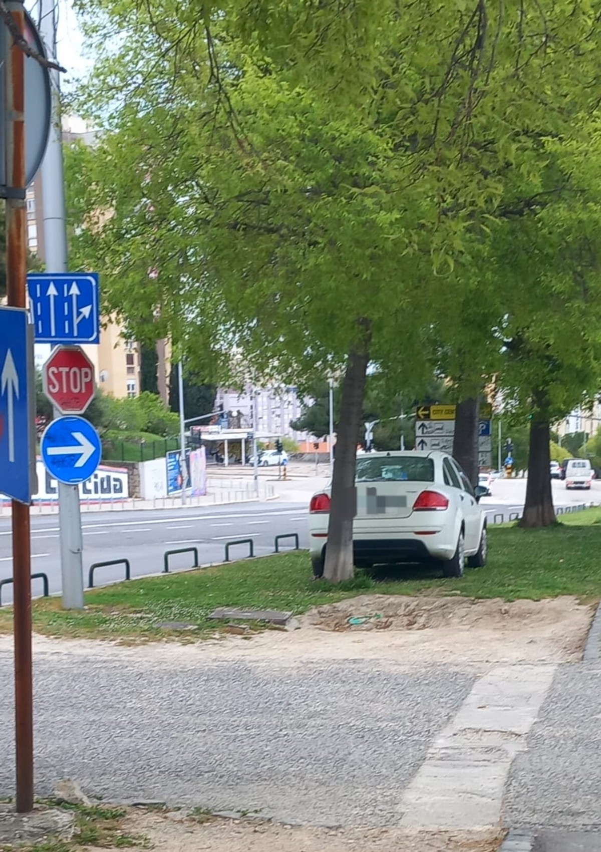 PRST U OKO Vlasnik nepropisno parkirao vozilo na zelenoj površini, no imao je 'sreće'