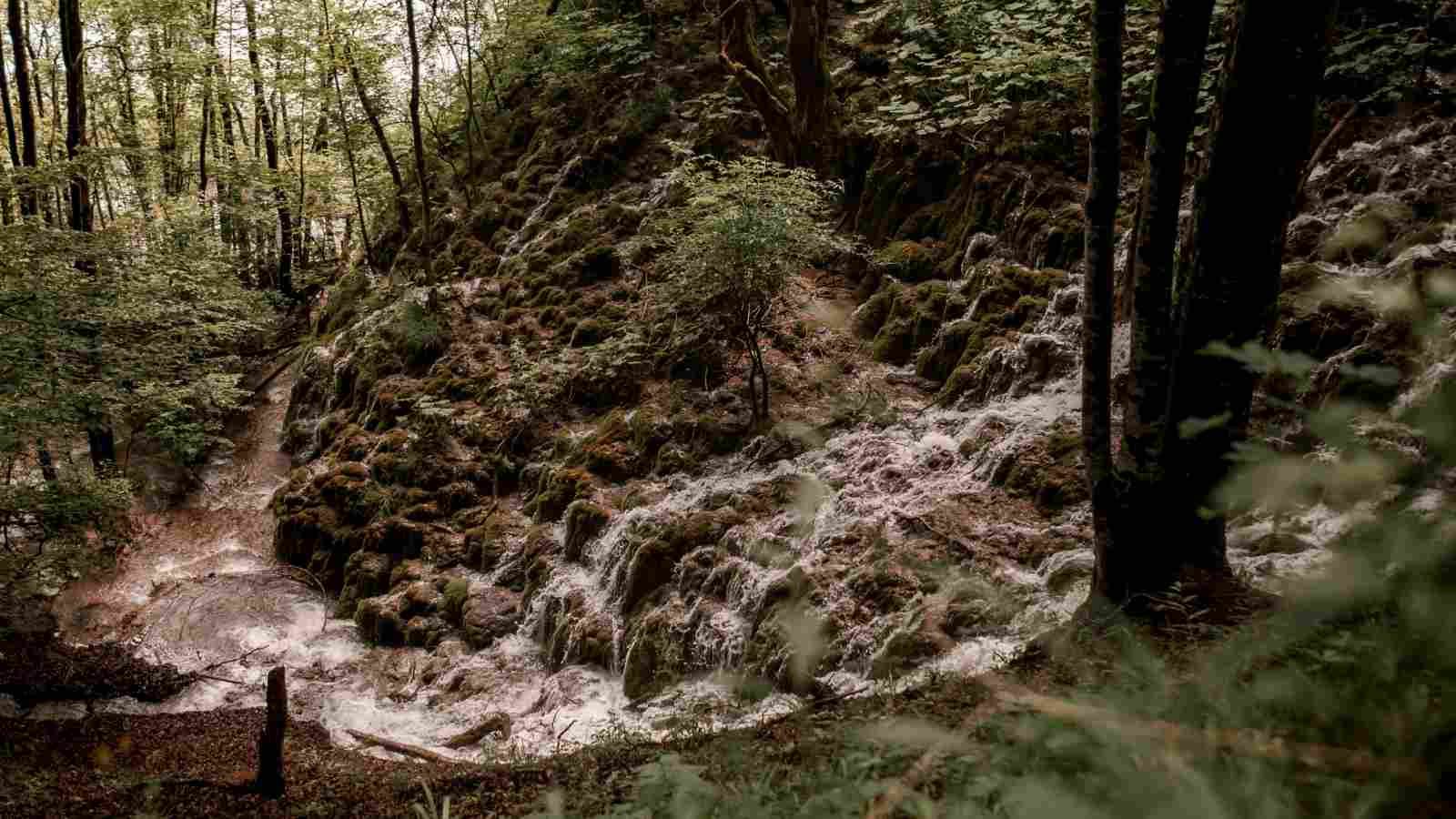 Jedna fotografija može vam donijeti nagradu: Hrvatske šume pokrenule zanimljiv izazov