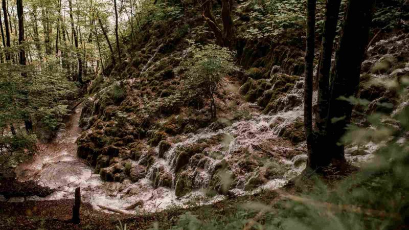Jedna fotografija može vam donijeti nagradu: Hrvatske šume pokrenule zanimljiv izazov