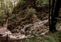 Jedna fotografija može vam donijeti nagradu: Hrvatske šume pokrenule zanimljiv izazov