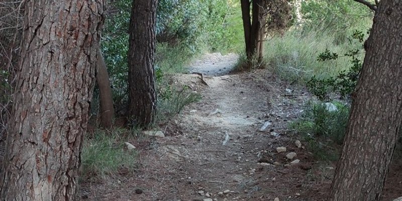 OPET VRIJE U PARK ŠUMI Pokrenut opoziv predstavnika radnika iz Upravnog vijeća, zaiskrilo oko restorana koji radi bez ugovora s ustanovom