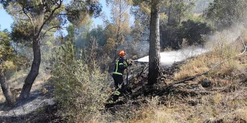 U Podstrani gorila trava i nisko raslinje