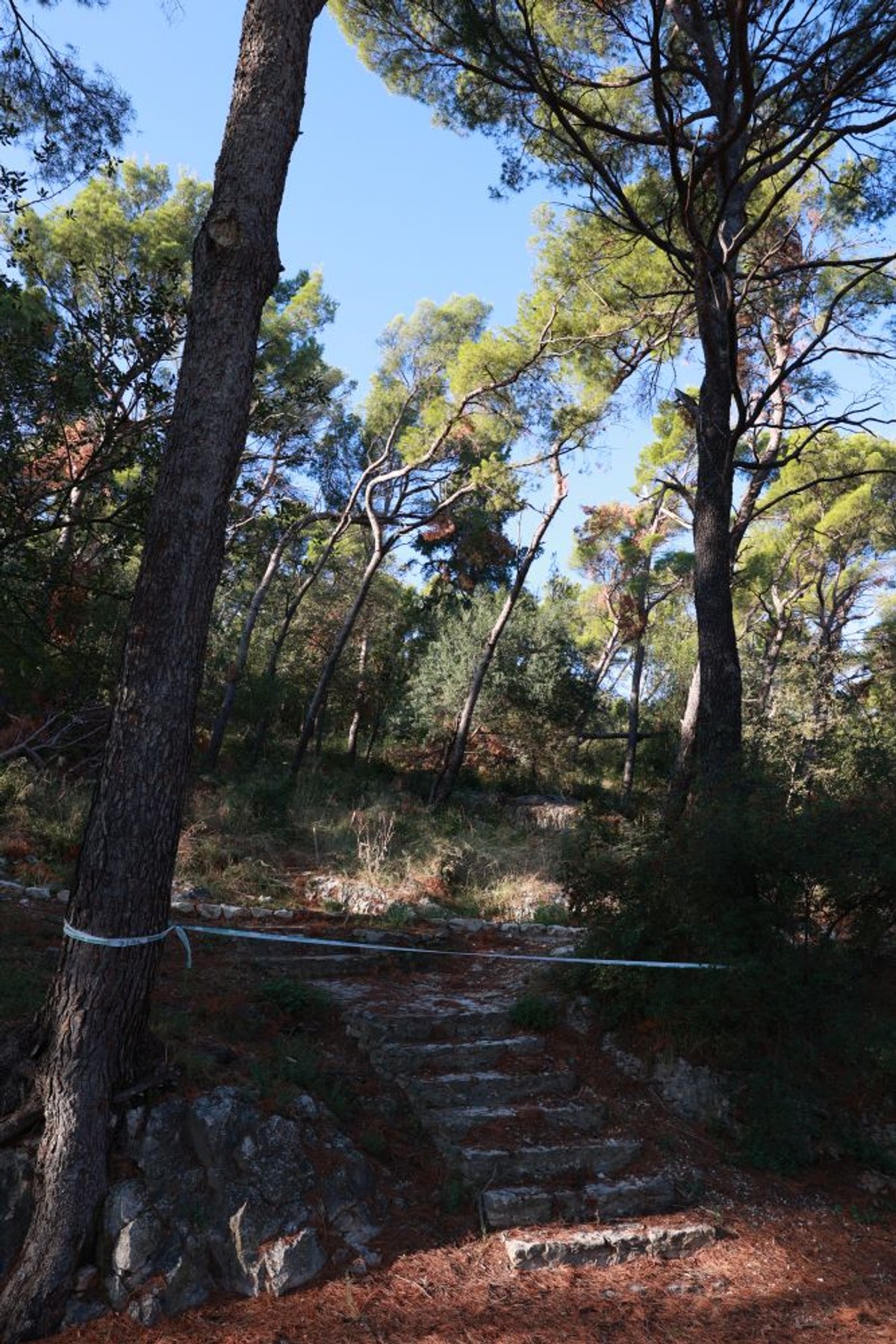 Marjan | foto: Bogdan Klarić