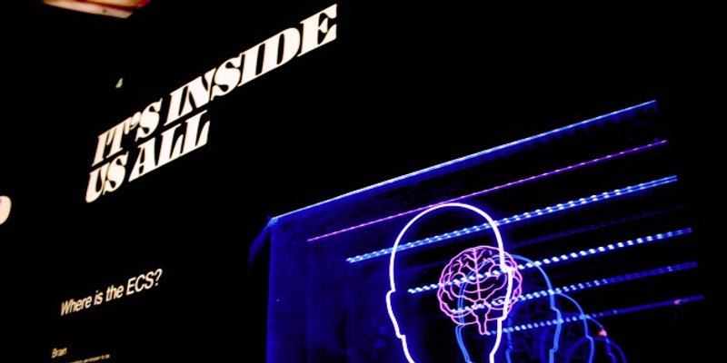 ELON MUSK Glazba će doslovno svirati po mozgovima