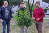 TRADICIJA DUGA 12 GODINA '16 stabala pod kojima možda nećemo sjediti, ali ih sadimo za one koji dolaze'