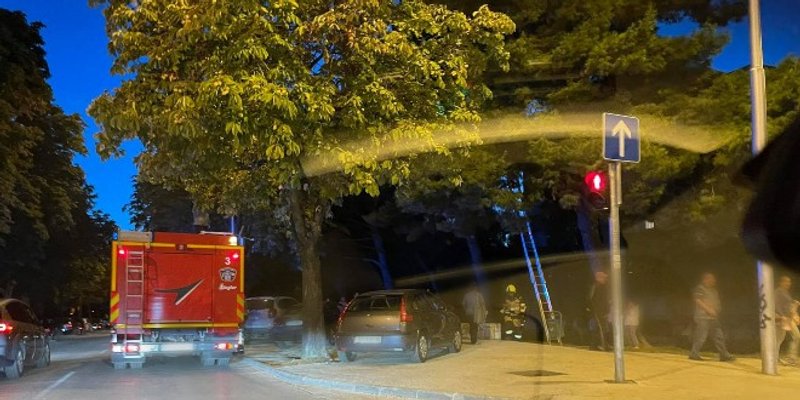 TVRDOGLAVI KUĆNI LJUBIMAC Vatrogasci pokušali skinuti mačka sa stabla, ali nisu uspjeli