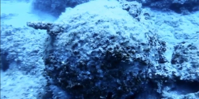 VIDEO Podmorski istraživač pronašao golemu minu u plićaku