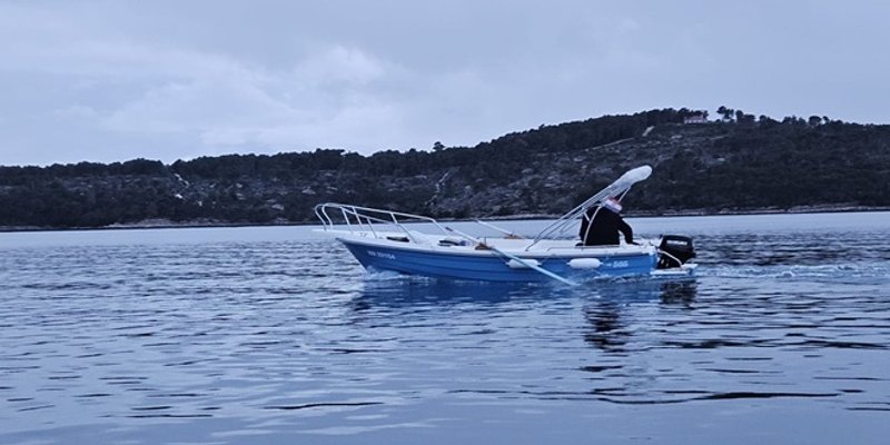 VIDEO Par dupina zaigrao se u moru pred Milnom na Braču