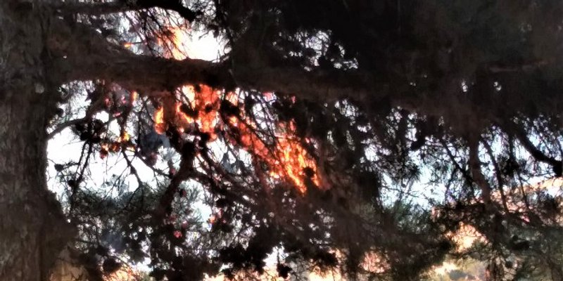 VIDEO Slaveći završetak školske godine učenici izazvali požar na Kmanu