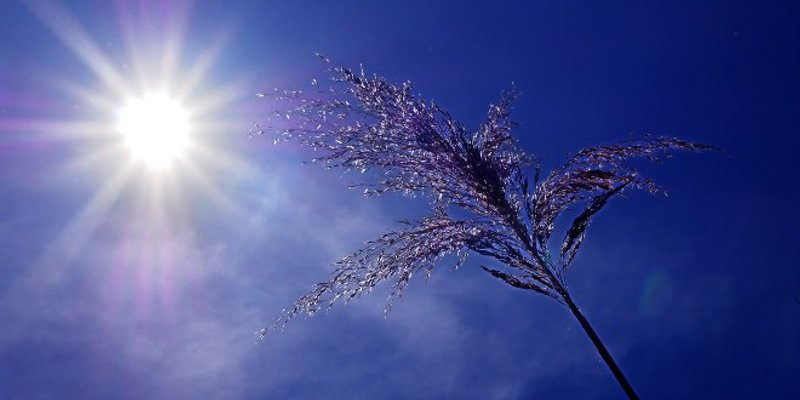 Meteorolozi najavljuju novi toplinski val, temperature će ići do 39 stupnjeva!