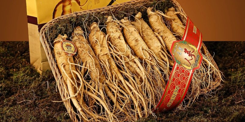 ČUDOTVORNI GINSENG Lijek za potenciju ali i za rak 