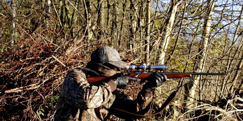 Lovac na Braču ustrijelio ovcu i janje, sada mu prijeti godina dana zatvora 