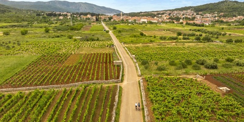 KAD SUNCE PJEVA Prvo izdanje manifestacije Asti Faros