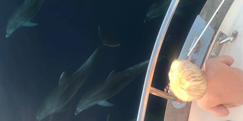 VIDEO IZ BRAČKOG KANALA Doživljaj za pamćenje: 'Izbrojili smo 14 dupina ispod broda, a još 15 do 20 ih je bilo malo dalje'