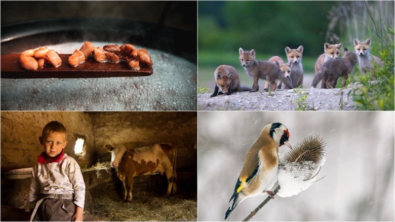 Oni su pobjednici RuralFoto 2026