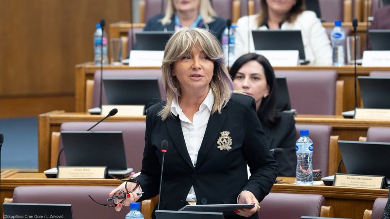 Eurozastupnica Glavak u Podgorici: Hrvatska je uz Crnu Goru na putu prema EU, ali očekuje konkretne rezultate