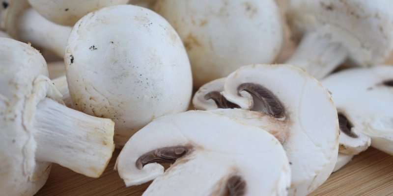 BRZI RECEPT: Šampinjoni na grill tavi