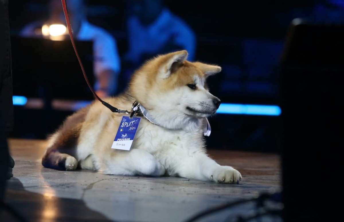 VIDEO Finalna večer 60. Splitskog festivala; Jole, klapa Rišpet i Lorena Bučan napravili sjajnu atmosferu