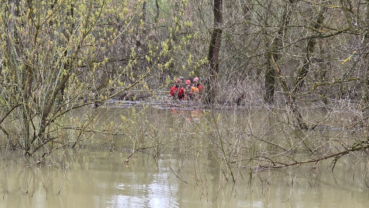 HOROR NA SAVI Do sada iz močvare izvučeno 30 migranata, podignut helikopter, angažirano 120 ljudi