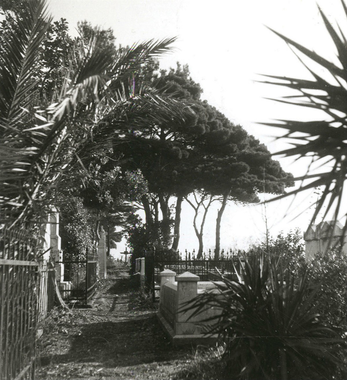 Najveće splitske ljubavne priče od kojih se ledi krv u žilama