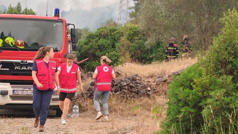 Požar na području Blata i Smokvice pod kontrolom: Vatrogasci i dalje dežuraju na terenu