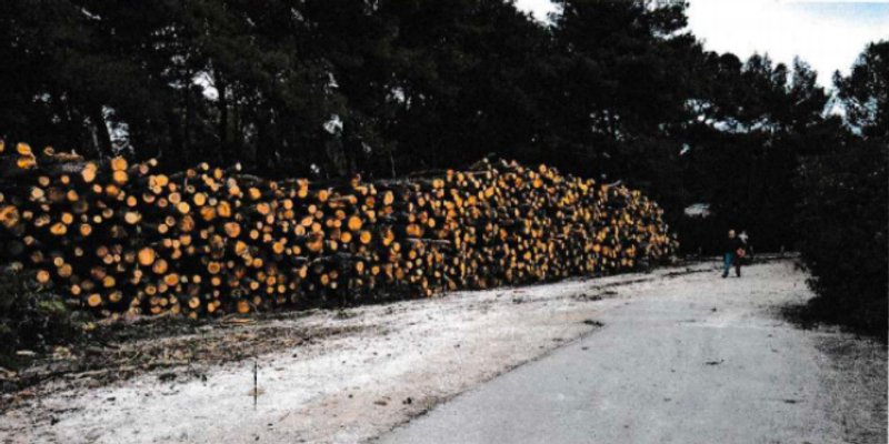 GRUBŠIĆ PROTIV STENAVERTA 'Izvješće vam je hrpetina laži i lako oborivih tvrdnji'