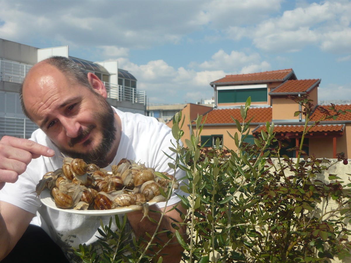DALMATINSKA KUŽINA: Špuži na gradelan