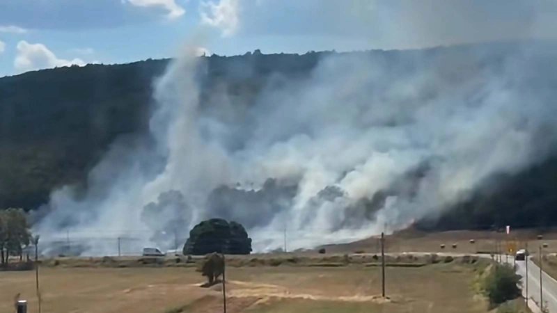 VIDEO Planulo u Aržanu kod groblja, požar gase i kanaderi