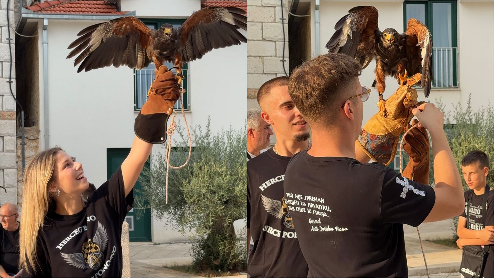 VIDEO Sokol HOS glavna atrakcija u Imotskom: Svi se žele fotografirati s njim