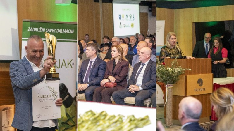 28. Noćnjak: Proglašeno najbolje intenzivno ekstra djevičansko maslinovo ulje