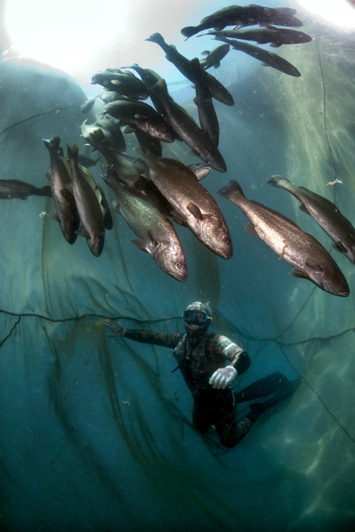 VELJKOVA FOTO-KRITIKA: Izložba '60 godina Galerije Fotokluba Split' dokaz je da gradu nedostaje izložbenih prostora