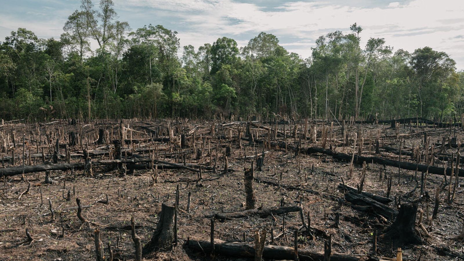 WWF: Sutra svijet ulazi u ekološki dug