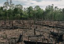 WWF: Sutra svijet ulazi u ekološki dug
