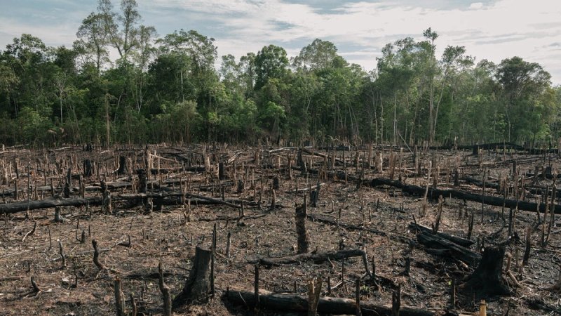 WWF: Sutra svijet ulazi u ekološki dug