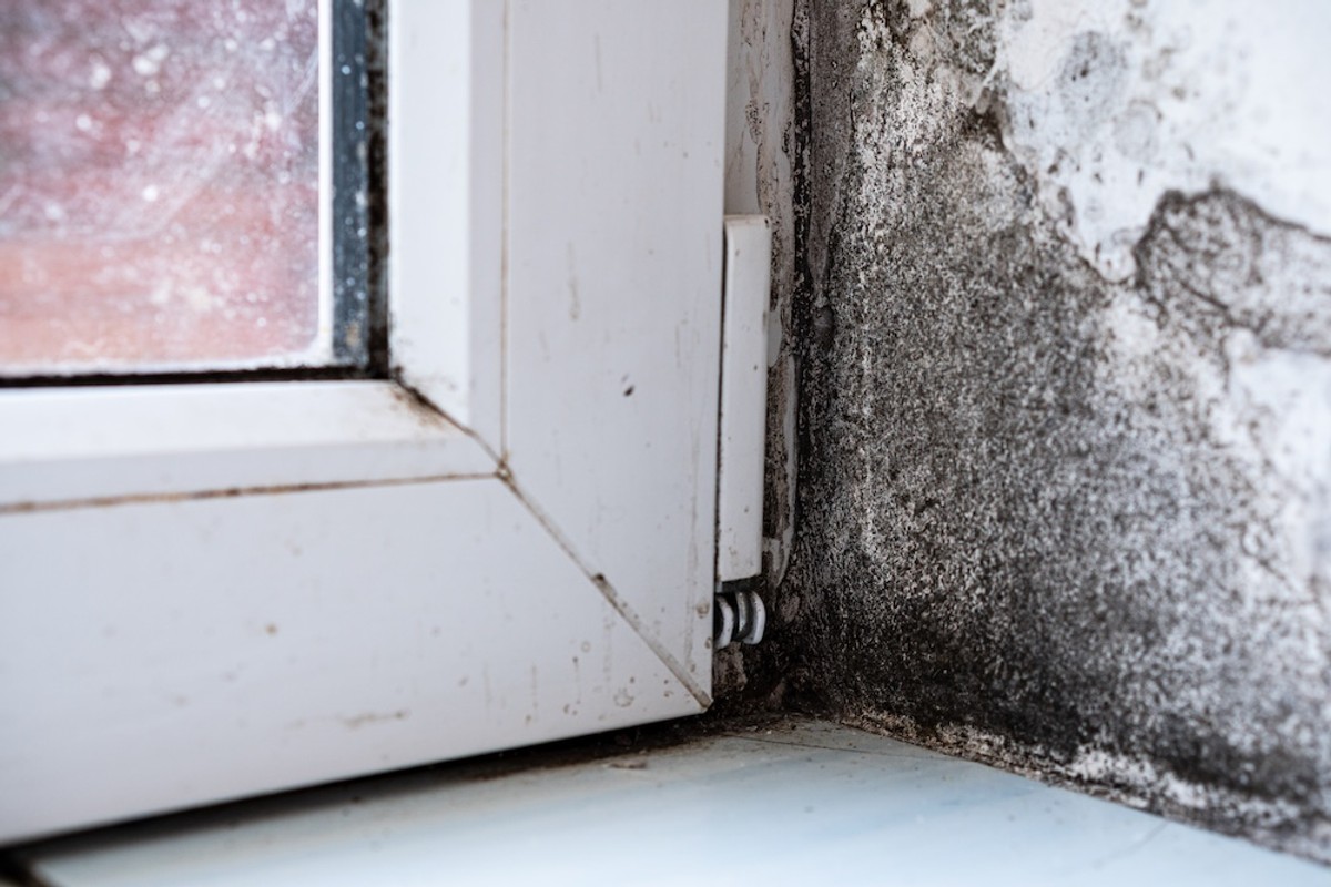 Zimi vam se magle prozori, a ljeti zrak stoji? I-Vent ventilacija s rekuperacijom to rješava efikasno - uz 7 godina garancije i čak 40 % popusta