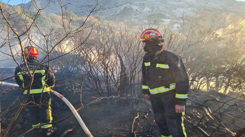 Gorjela hrastova šuma, maslinik i trava