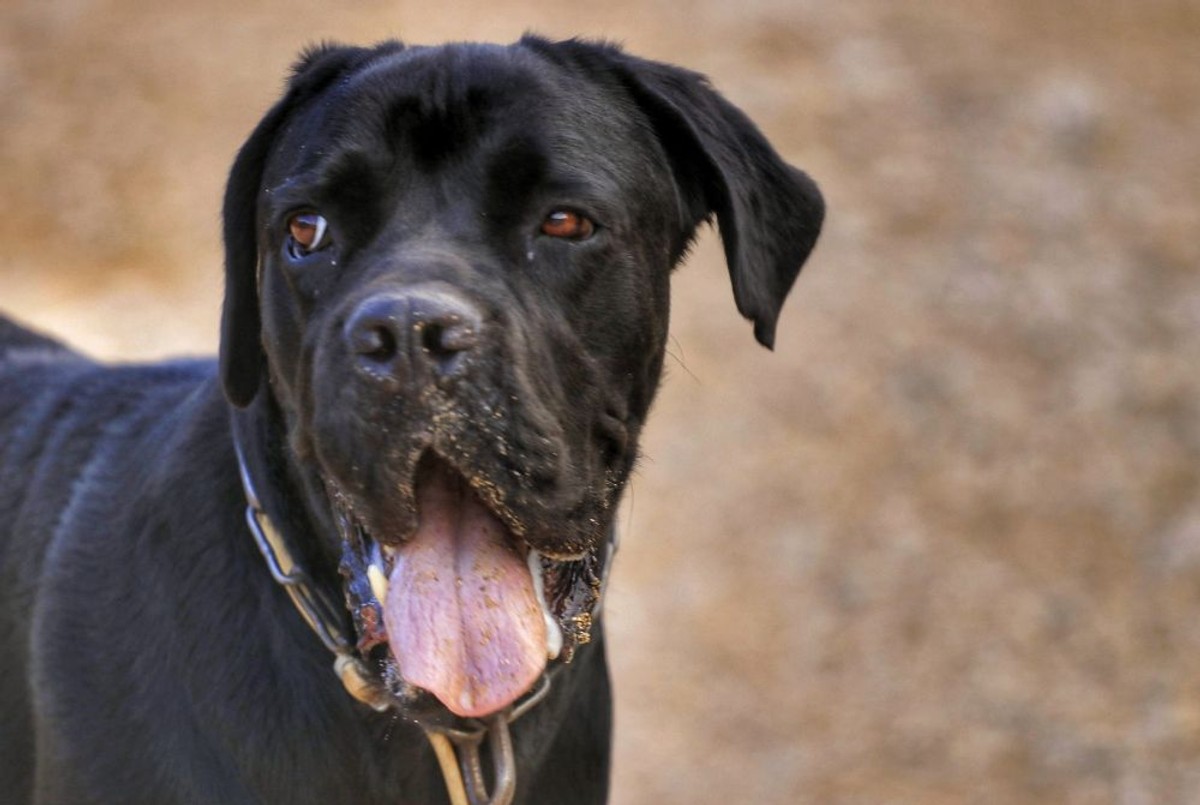 Izlet do bunara Rajčica | foto: Zoran