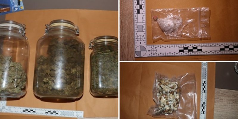 FOTO/VIDEO: Zagrebački policajci otkrili 'farmu' psilocibinskih gljiva, kaktusa, konoplje...