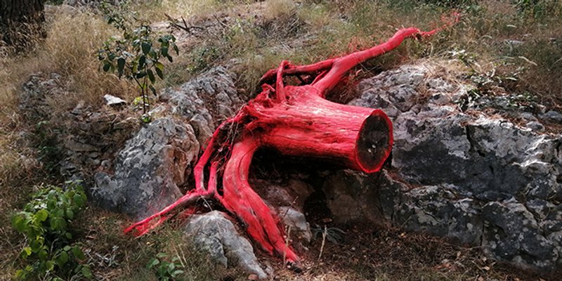 'Čudovište' na Marjanu