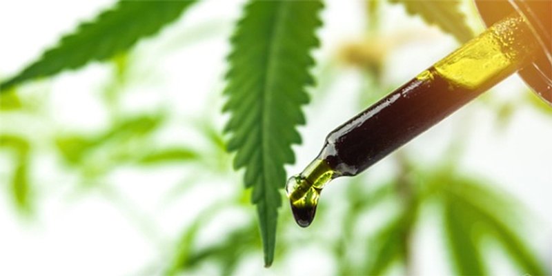 Kanabisom ojačajte imunitet i oslobodite se stresa!