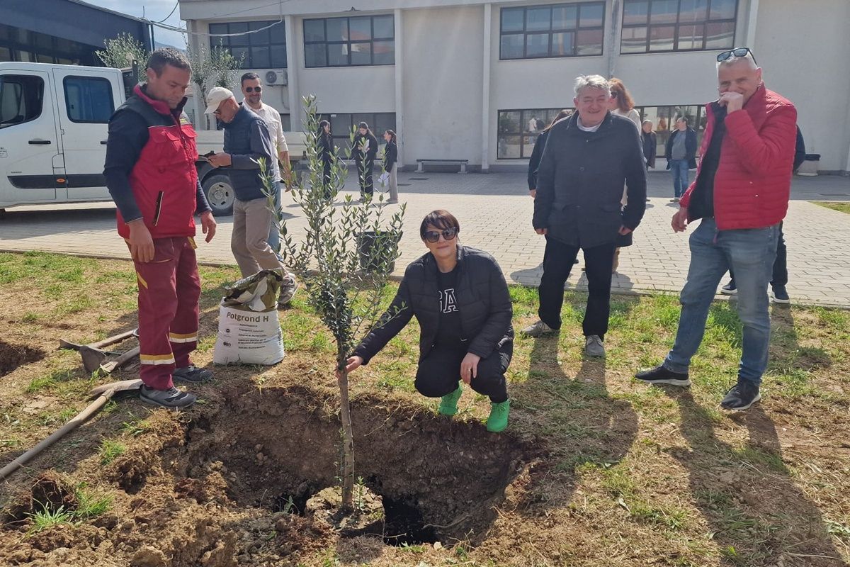 Rotary club Dubrovnik