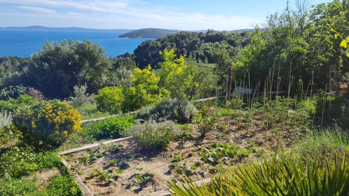 UDRUGA VLASNIKA ZEMLJIŠTA NA MARJANU: Apsurdno je da nas JU proziva za neodržavanje parcela