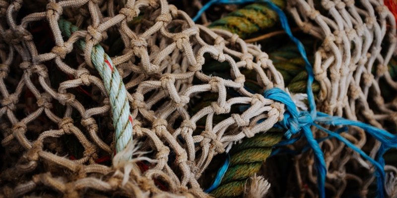 Studenti i izbjeglice u Lavovu pletu mreže za frontu