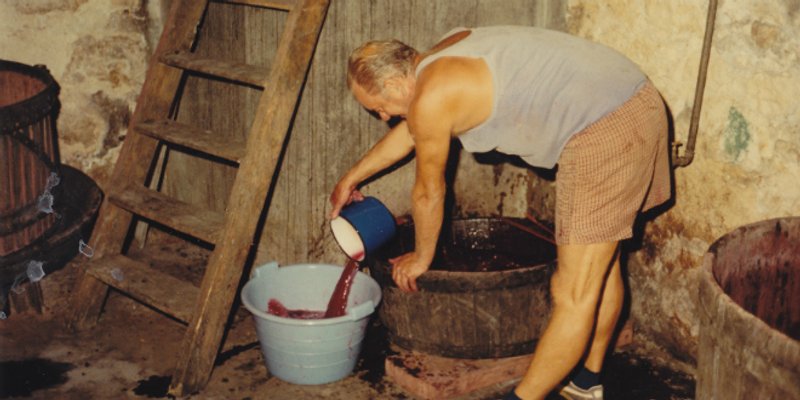 DALMATINSKO EVANĐELJE: Jematva i grožđe, konoba i vino