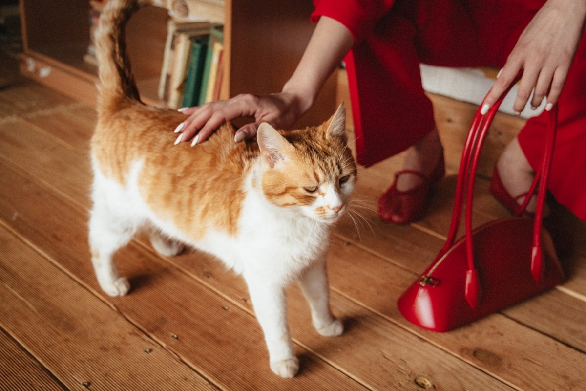 JOKER FASHION PORTFOLIO: Proljetno modno opuštanje