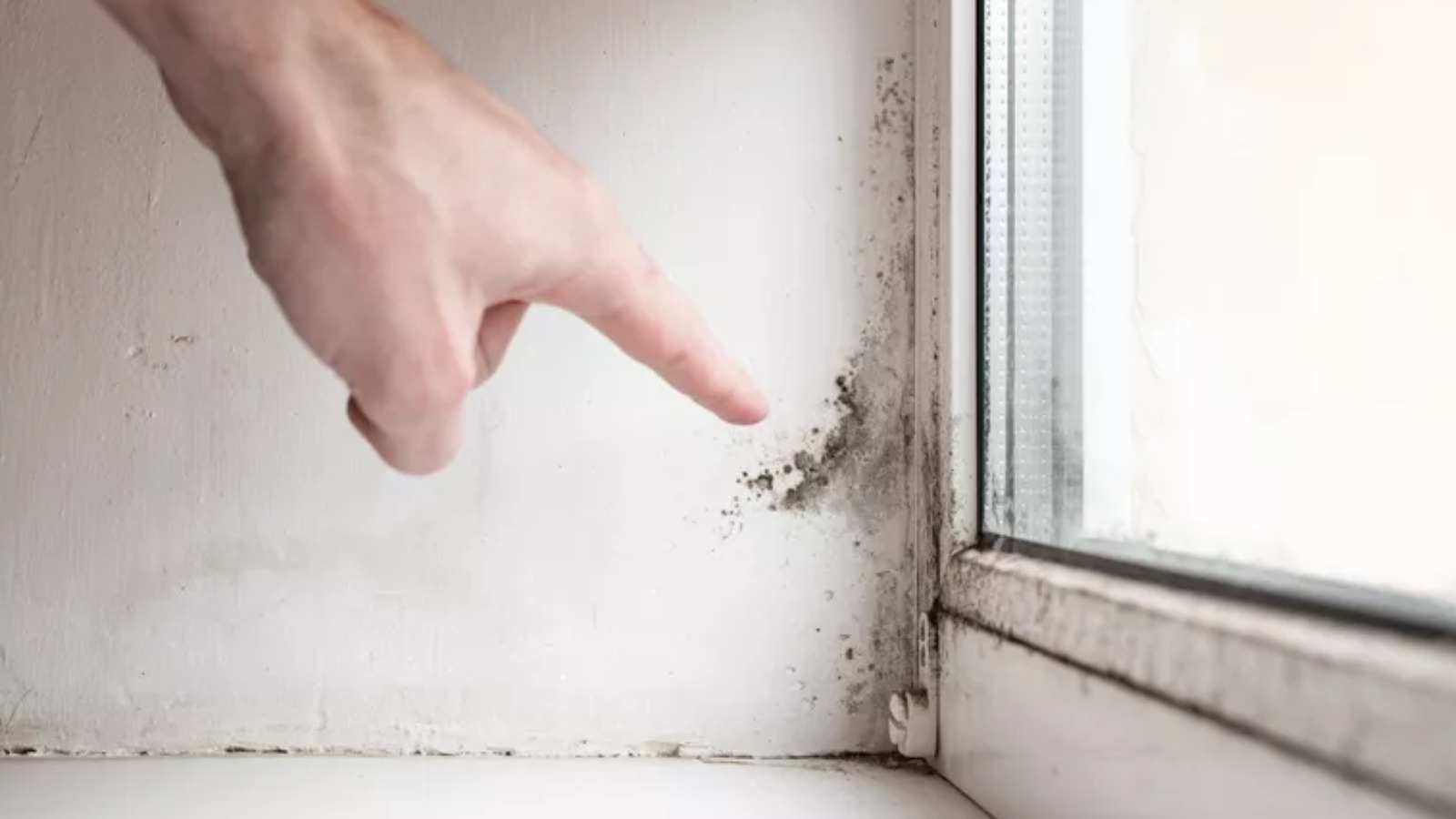Jesen u domu donosi i nevidljivog gosta – višak vlage