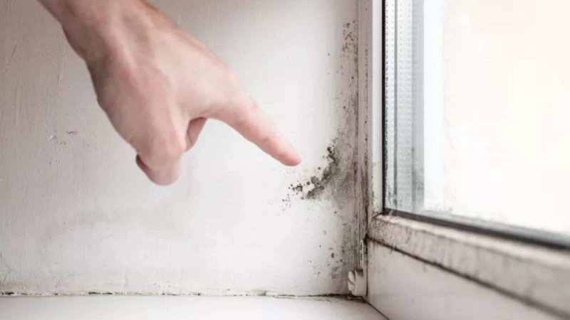 Jesen u domu donosi i nevidljivog gosta – višak vlage