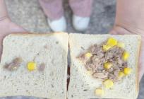 OVO JE PITANJE ODNOSA PREMA DJECI Roditelj splitskog osnovca podijelio fotografiju