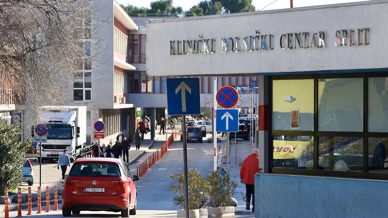 HLAD: U sklopu umjetničko-hortikulturalne akcije u dvorištu KBC-a Split posadit će se stabla