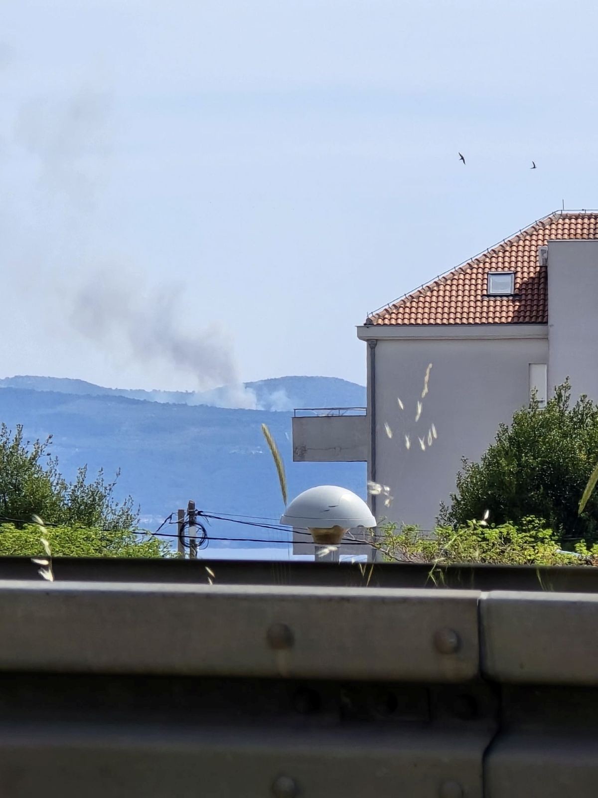 Požar na Braču, gori borova šuma